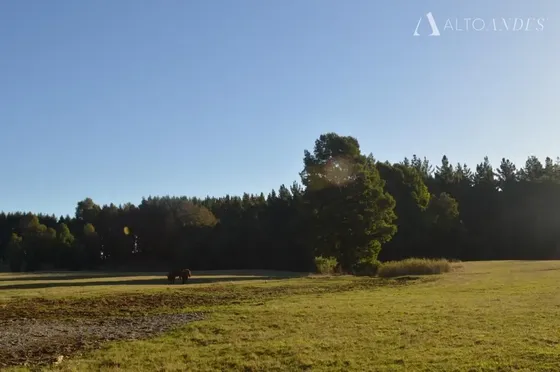Sitio En Venta En Villarrica