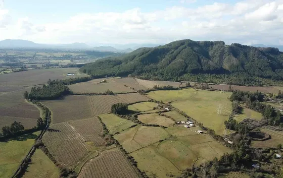 Agrícola En Venta En San Clemente