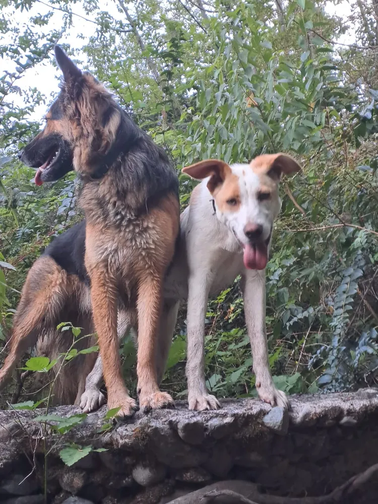 Foto del producto compartida por el comprador 1 de 8