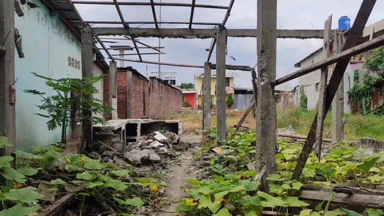 Terreno En Palestina En Venta
