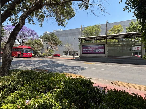 Local - San José Insurgentes
