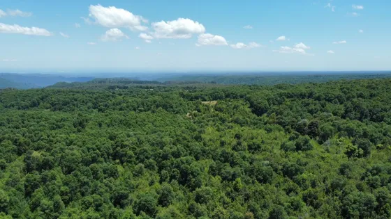 Gran Terreno En Ñuble Rebaja Total