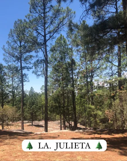 Lotes En Venta San Clemente  Desde  1 Ha