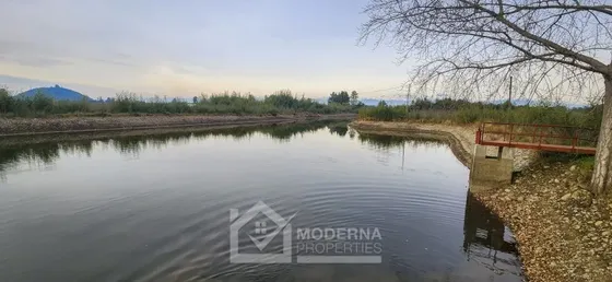 Agrícola En Venta En Longaví