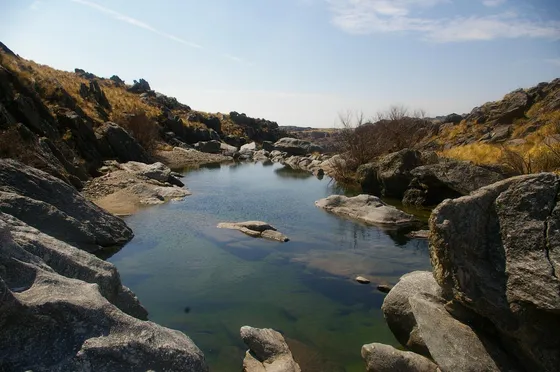 Campo En Venta - 52 Ha - Córdoba