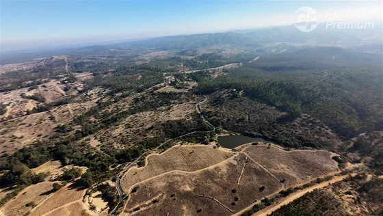 Venta De Lote Agrícola De 37 Hectáreas 