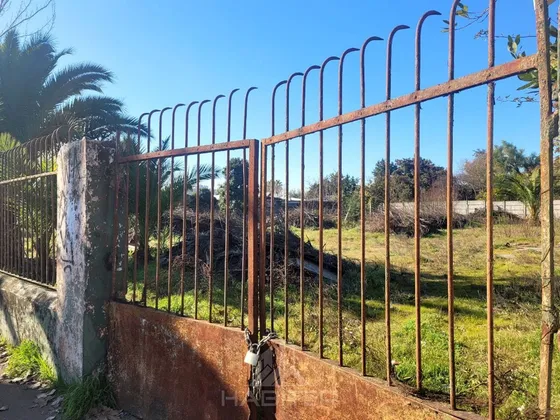 Sitio Gran Oportunidad De Inversion En Centro De Curico