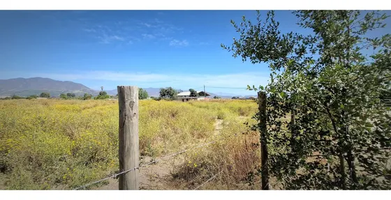 Venta De Parcela Plana De 5.752 M2., En Quillota. 2.495 Uf.