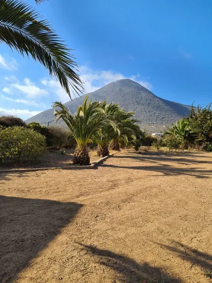 Parcela De 1 Hectárea En Quilimarí Frente Playa Pichidangui