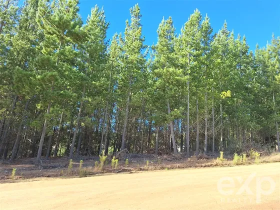 Vende Parcela 5000m2 En Pichilemu
