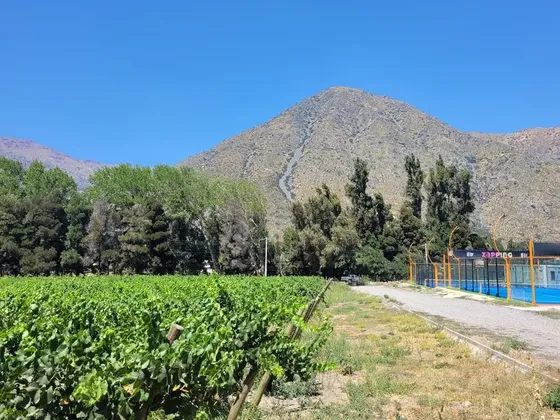 Cajón Del Maipo, El Manzano, Parcela En Ruta Principal.