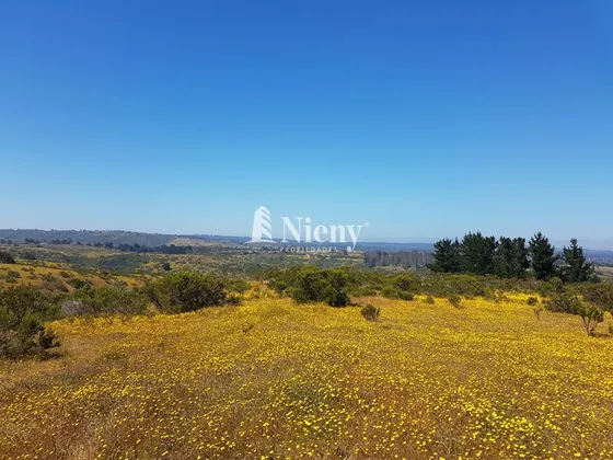 Parcela De 8,16 Ha En Venta En Algarrobo, V Region