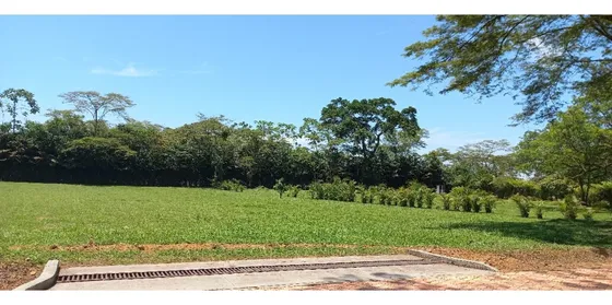 Lote En Venta En El Condominio Santa Teresita Retrepo Meta