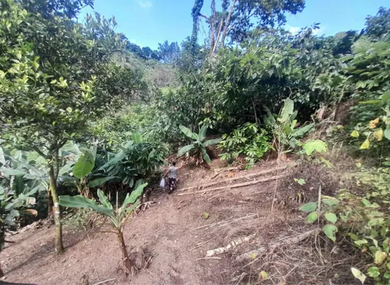 Tarea De Tierra Entre 35 A 40 En Venta