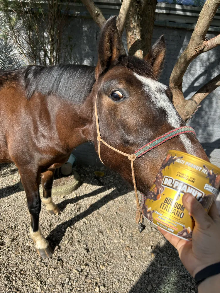 Pasta de Amendoim Dr Peanut Power Cream Whey Protein Sabor Leite Em Pó - foto de usuário