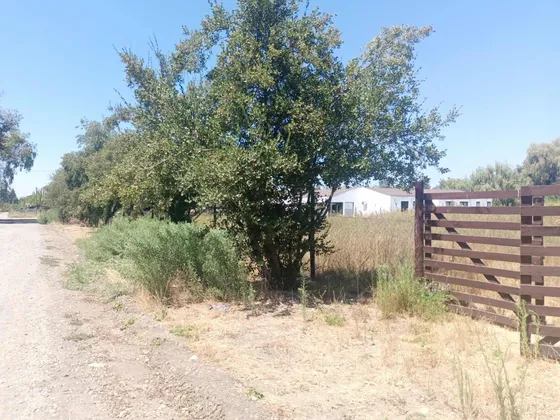 Parcela Con Cabaña 5500mt2