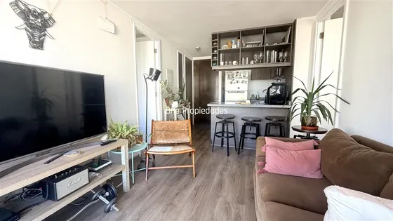 Departamento Arriendo 2d2b Con Estac Y Bod Pintado Santiago