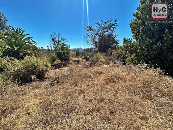 Terreno Industrial En Venta, Belloto