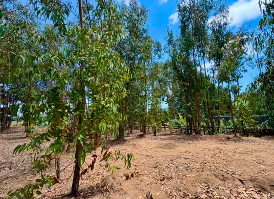 Sitio En Condominio En Maitencillo Sur