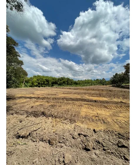 Venta Lote Sur Armenia Quindío Colombia Cod: 8410106
