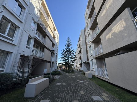 Edificio Parque Los Encinos Edificio Parque Los Encinos