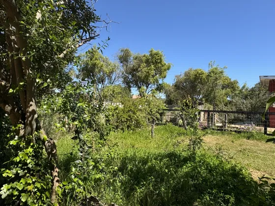 Sitio En La Laguna