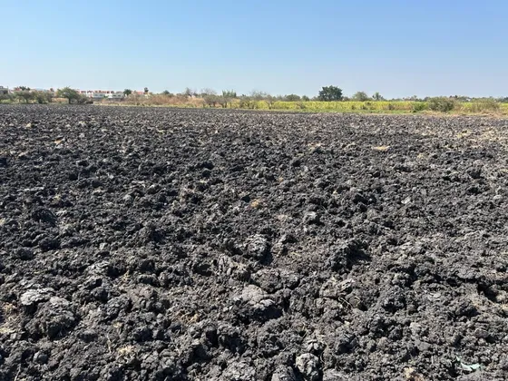 Terreno Agrícola En Tepalcingo, Tepalcingo, Morelos.