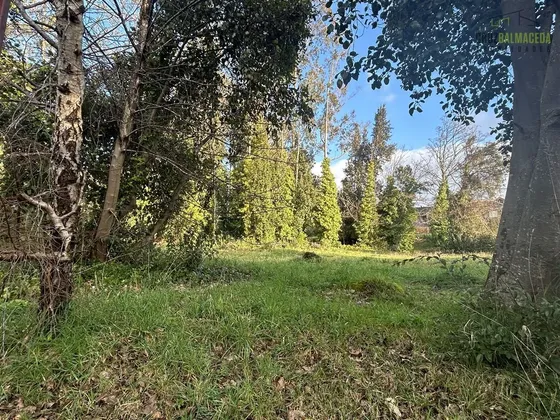 Sitio En Venta En Puerto Varas