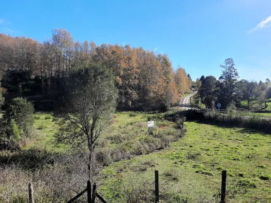 Ganadería, Criadero, Producir.