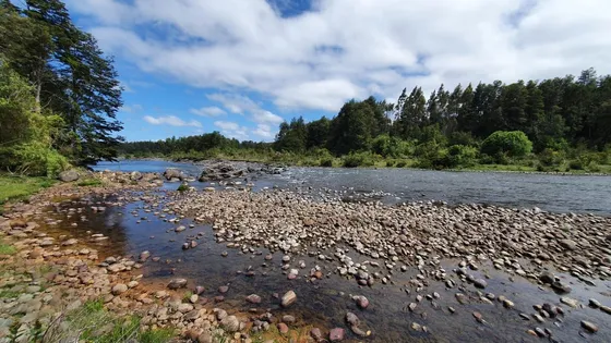 Hermoso Campo Con 2 Ríos En Puerto Octay