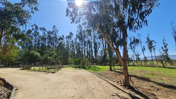 Casa En Arriendo De 3 Dorm. En Zapallar
