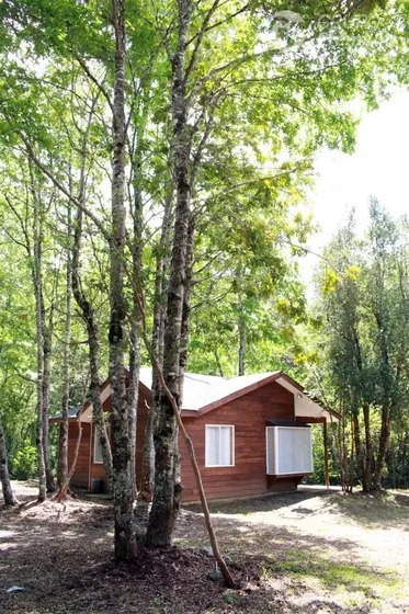 Casa En Arriendo De 2 Dorm. En Pucón