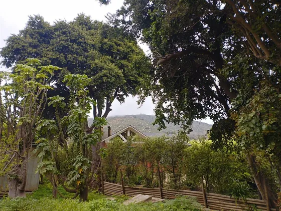 Local Comercial En Venta En Puchuncaví