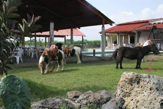 Rancho En Venta, Cesión De Derechos Ejidal