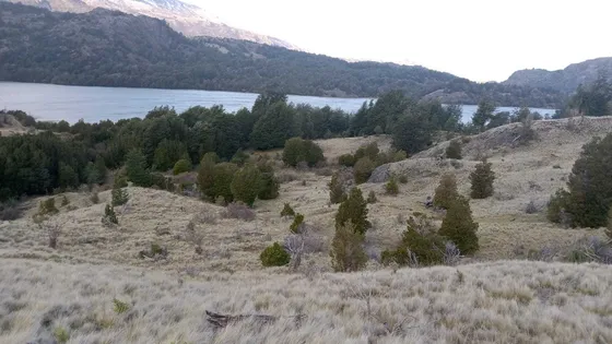 Murta A Pto. Sánchez (90613)