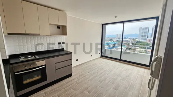 Se Arrienda Depto Nuevo 1 Dormitorio, Concepción.