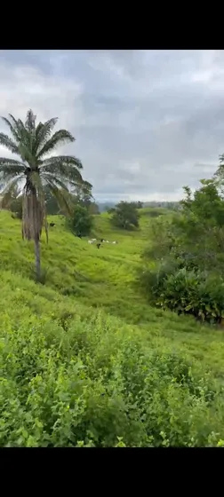 Se Vende Finca Ganadera En Cimitarra Santander 