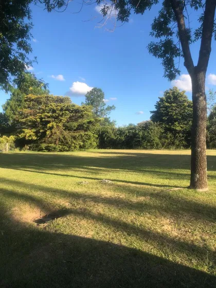 Lote En Venta En Santa Ana Moreno