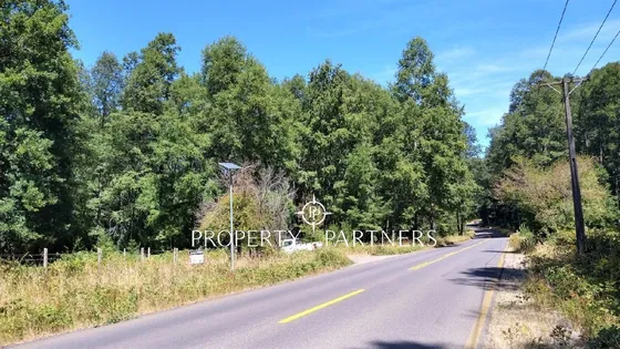 Hermoso Terreno Con Bosque Nativo