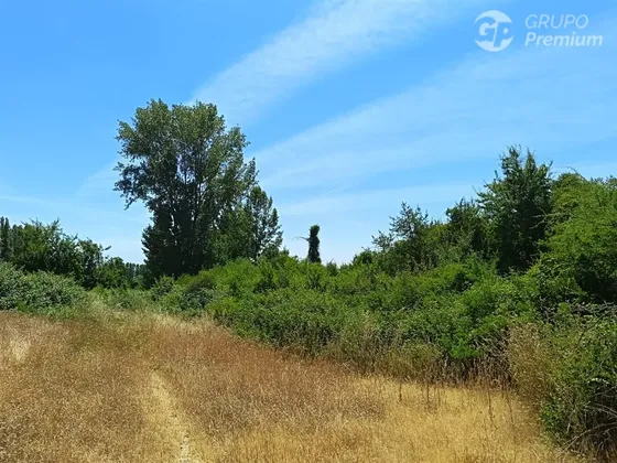 Parcelas 5000 M2 En Venta Sector Retiro Camino A Villaseca.