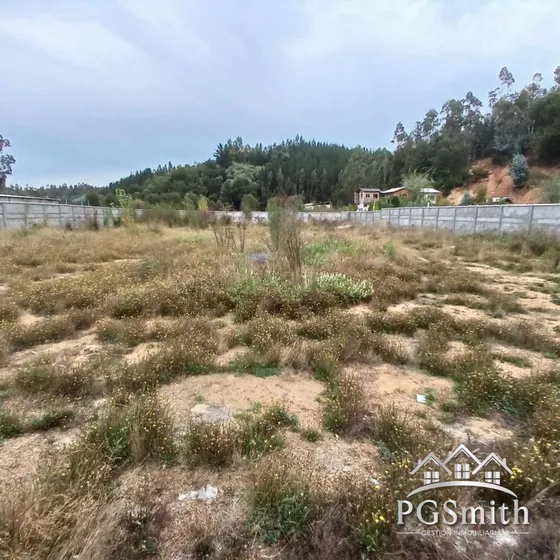 Excelente Sitio Plano En Hualqui (73609)