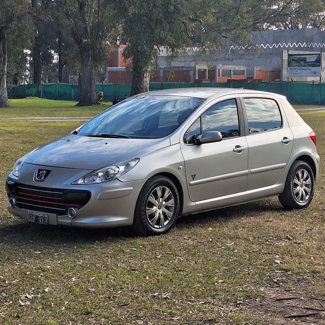 Peugeot 307 1.6 Xs 110cv