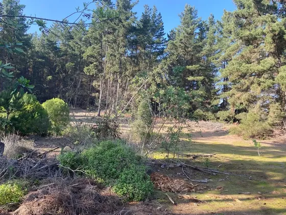 Terreno Construccion En Venta En Viña Del Mar