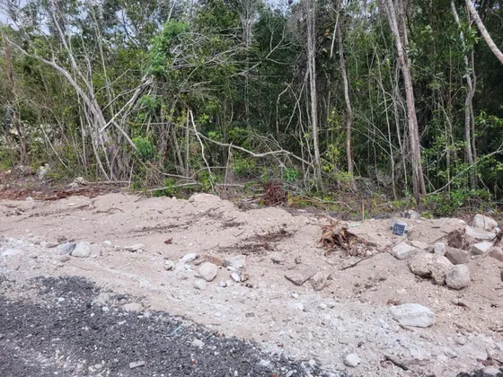 Terreno Venta Cancún  Doctores Calle Felipe Amaro