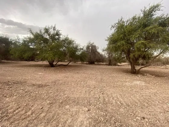 Se Vende Terreno 5000 M2 En La Huayca
