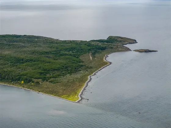 Agrícola En Venta En Natales