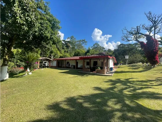 Finca Para La Venta En Venecia  Antioquia Medellin