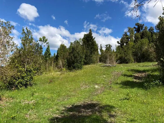 Parcela 5.000 Camino Ralun (97842)