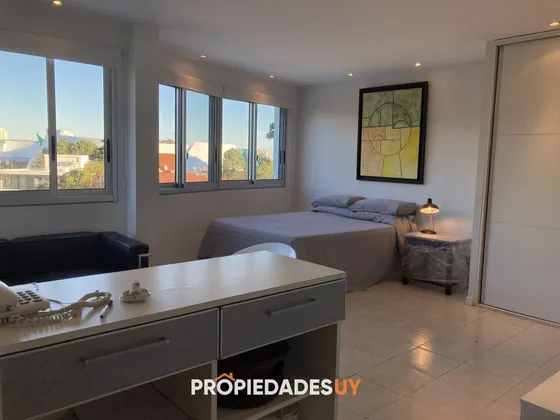 Venta Apartamento Monoambiente Sobre Roosevelt