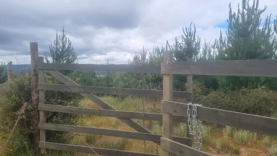 Terreno En Parcelación Vive Paredones, San Pedro De Alcánt